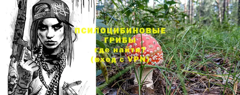 Галлюциногенные грибы Psilocybine cubensis Курганинск